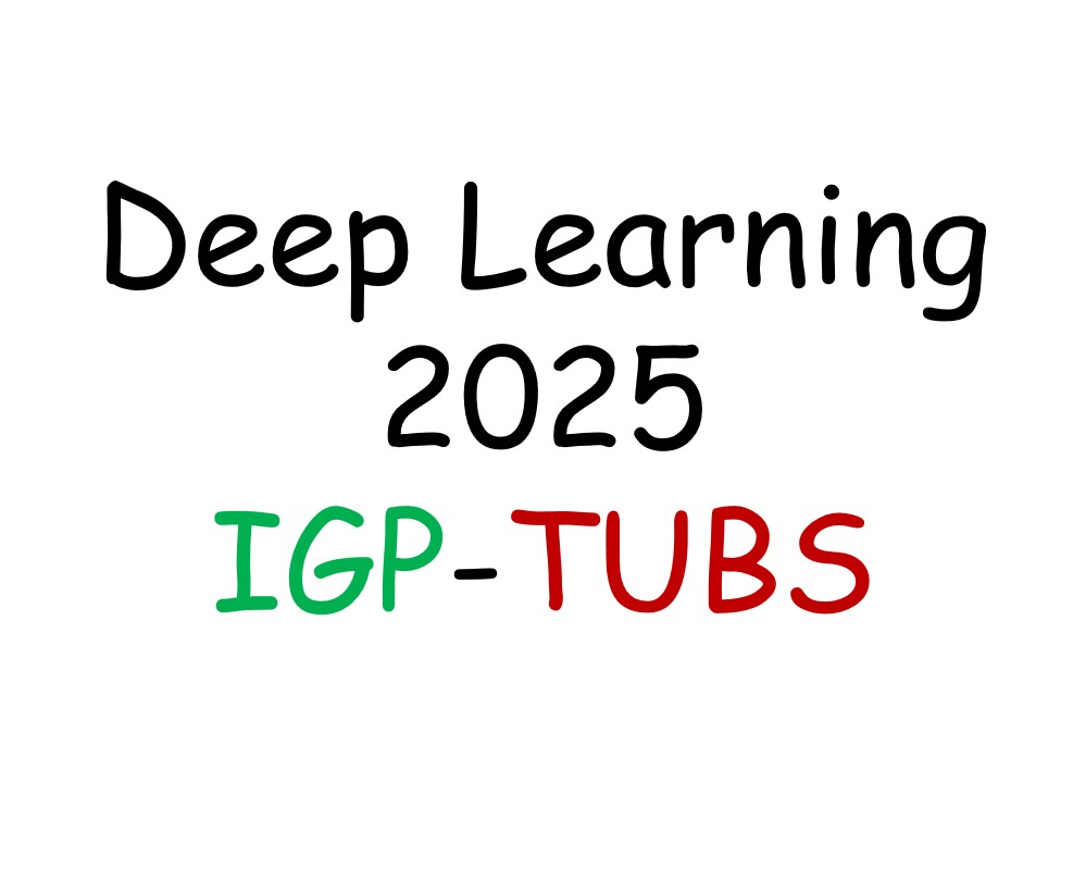 Deep Learning IGP TUBS 2025